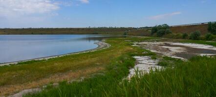 Shallow bay of the Tiligulsky estuary with wild salt-tolerant vegetation on the shore, Ukraine photo