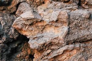 The texture of the wave-polished stone coast of Pontic limestone in the Crimea photo