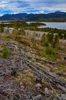 Felled trees in the hills near a mountain lake against the backdrop of snow-capped mountains in Utah, US photo