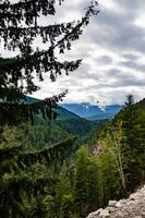 View of the mountains in the clouds, coniferous forest in the mountains, Washington state photo