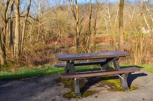 Wet Table and benches for relaxing in the forest after rain. photo