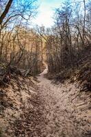 A path with traces of tourists from a large sand dune in a state park. Indiana Dunes National Lakeshore, USA photo