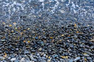 Kara-Dag, a round sea-rolled pebble from a volcanic rock on a pebble beach, Crimea photo
