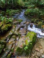 Stormy rifts on a small mountain river in Ivano-Frankivsk region, Ukraine photo