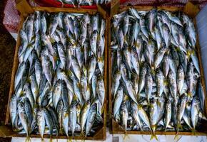 Sale of fish from the Black and Mediterranean Sea at the fish market in Trabzon photo