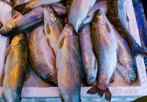 Sale of fish from the Black and Mediterranean Sea at the fish market in Trabzon photo