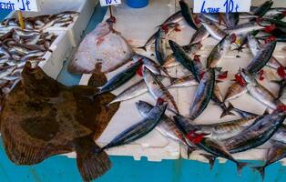 Sale of fish from the Black and Mediterranean Sea at the fish market in Trabzon photo