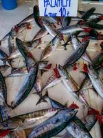 Sale of fish from the Black and Mediterranean Sea at the fish market in Trabzon photo
