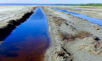 Green, diatom and blue-green algae in the blooming water of a coastal salt puddle on the shore photo