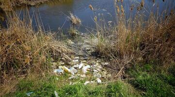 Plastic garbage on the shore in Hadzhibeysky estuary. Eutrophication of the reservoir, the problem of ecology photo