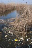 Plastic garbage on the shore in Hadzhibeysky estuary. Eutrophication of the reservoir, the problem of ecology photo