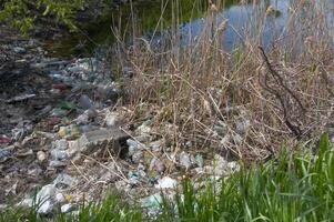 Plastic garbage on the shore in Hadzhibeysky estuary. Eutrophication of the reservoir, the problem of ecology photo