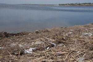 Plastic garbage in nature, pollution photo