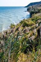 Natural landscape, colorful shore of the Dnieper-Bug estuary in the area of the ancient city of Olbia photo