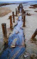 From the Kuyalnik sanatorium flows out black water with curative liman mud. Kuyalnik estuary photo