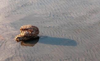 Waves of sand at the bottom of the Kuyalnik estuary, where salt was mined in the 18th century photo