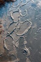Traces of human feet on the muddy bottom in the Kuyalnik estuary, where salt was mined in the 18th century photo