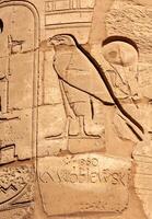 EGYPT, LUXOR - MARCH 01, 2019 ancient Egyptian hieroglyphs, drawings and inscriptions on the walls and columns in the temple of Karnak in Luxor photo