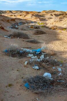 Plastic bottles and various garbage from hotels in the wild, Garbage dump in the desert in Egypt photo