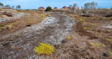 Dry cracked red clay with salt crystals in the desert in the bed of a dried up stream photo