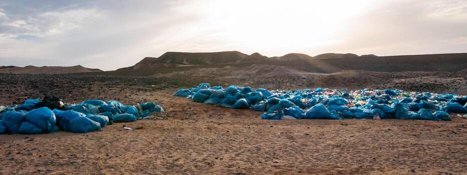 Plastic bottles and various garbage from hotels in the wild, Garbage dump in the desert in Egypt photo