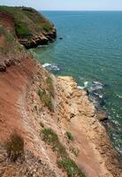 Steep clayey and shell rock shore overgrown with wild steppe vegetation on the island of Berezan, Ukraine photo
