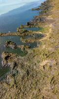 Eutrophication of the Black Sea, rotting macrophyte algae near the shore, pollution of beaches photo