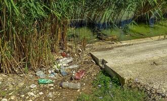 Wildlife plastic pollution, garbage and propylene bottles on the shore of the lake photo