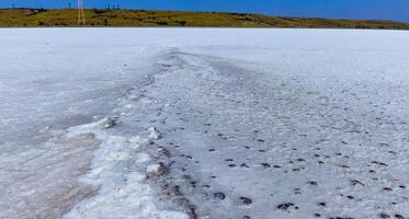 covered with a layer of white self-precipitating common salt photo