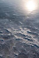 Self-precipitating table salt sodium chloride on the surface of dried plants at the bottom of the Kuyalnik estuary, Odessa region, Ukraine photo