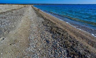 Sandy spit with unique biodiversity and living community photo