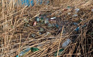 Pollution with plastic waste and microplastics on the shore of the Khadzhibey estuary photo