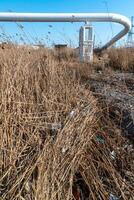 Pollution with plastic waste and microplastics on the shore of the Khadzhibey estuary photo