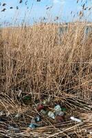 Pollution with plastic waste and microplastics on the shore of the Khadzhibey estuary photo