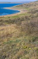 Steppe landscape, shore of the Tiligul estuary in spring, south of Ukraine photo