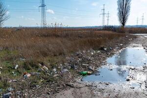 Pollution with plastic waste and microplastics on the shore of the Khadzhibey estuary photo