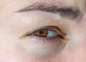 close-up of a human eye, eyelids and eyelashes on a girl's face photo