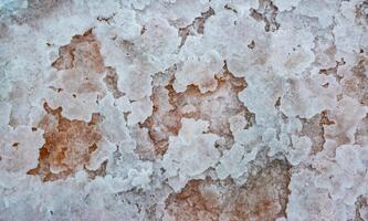 Drying and shallowing of the Kuyalnitsky estuary, salt in the form of crystalline forms at the bottom of a dried-up reservoir photo