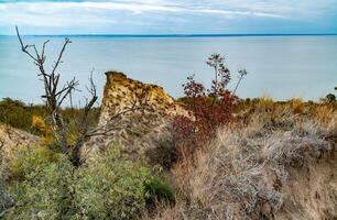 Clay shores of the Dniester estuary, steep with ravines, overgrown with wild steppe vegetation photo