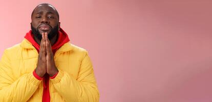 Miserable cute african-american bearded man in yellow coat asking help begging press palms supplicating apologizing please help, standing pink background sad need advice lending money photo