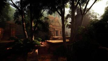 Large Building Surrounded by Trees in Forest video