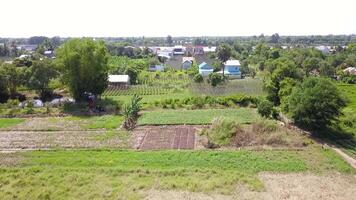 aerial view of a rural village with houses and fields video