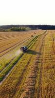 Car is moving on the field in summer day. Automobile drives on the road inside the golden field with dried hay bales. Aerial view. Vertical video