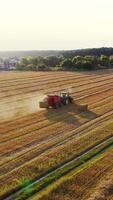 agrícola trator colecionar feno para dentro quadrado fardos em a campo. colheita seco Relva em a dourado campo dentro verão. trator em a campo em a floresta fundo. aéreo visualizar. vertical video