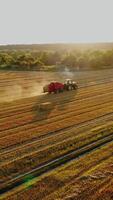 Tractor is collecting dried grass on the beautiful field background. Agricultural machine at seasonal works in summer. Motion camera forward. Vertical video
