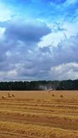 Low flight over the yellow field with round bales in summer agricultural works. Pressed bales of hay for livestock on the field under cloudy sky. Motion camera forward. Vertical video