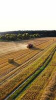 Tractor baling dry grass on the field. Square bales are coming from tractor after collecting hay. Seasonal works on the natural landscape in summer. Aerial view. Vertical video