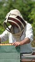 Apiary farmer takes a frame out of hive and looks at it carefully. Dark frame with half-sealed honey cells in man's hands. Nature backdrop on sunny day. Vertical video
