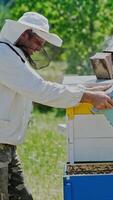 Beekeeper is working with bees and beehives on the apiary. Frames of a bee hive. Apiary concept Vertical video