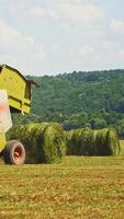 Tractor pressing grass into round bales on the field in summer. Agricultural machine makes pressed bundle of green grass outdoors. Vertical video